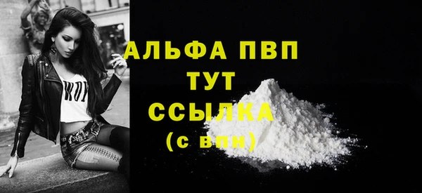 индика Балахна