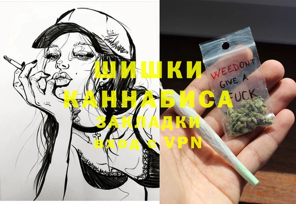 индика Балахна