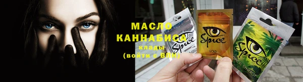 мдпв Краснослободск