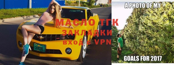 индика Балахна
