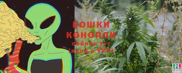 индика Балахна