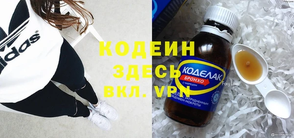 индика Балахна