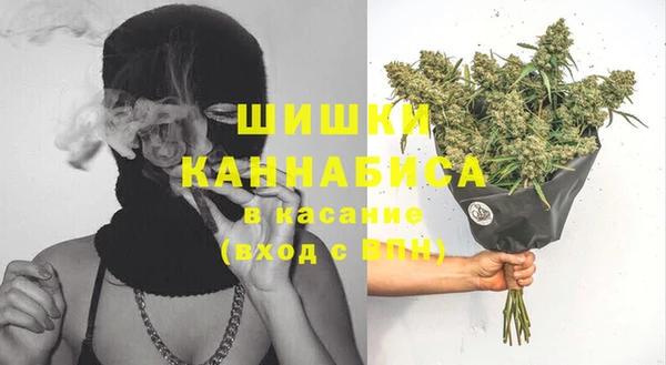 индика Балахна