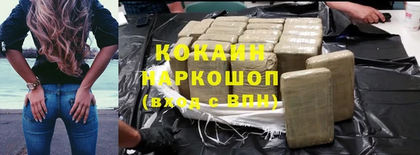 индика Балахна