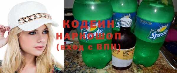 индика Балахна